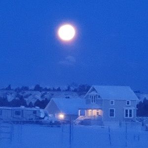 Meet your Posher, Tessa